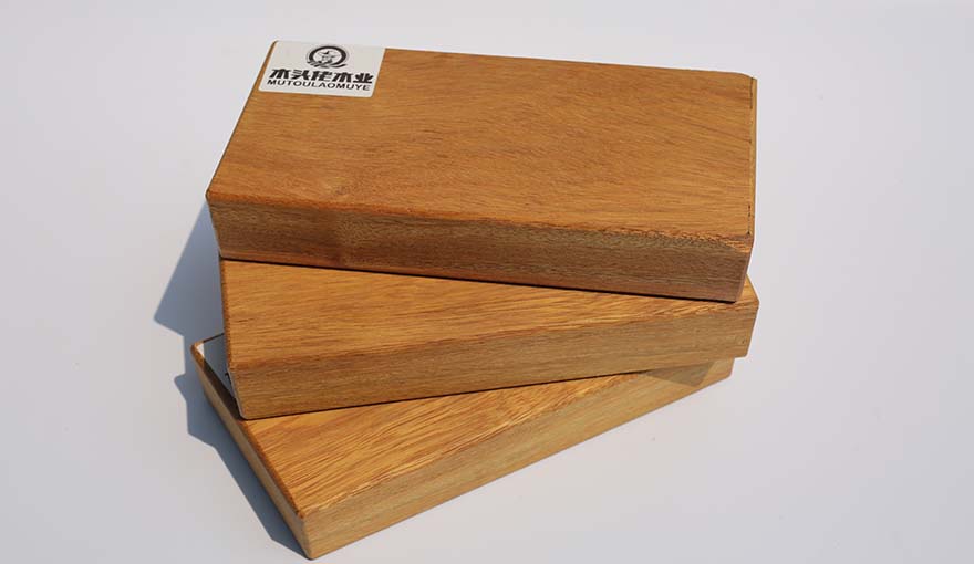 1650504424914650.jpg 非洲菠蘿格7D8A6563.JPG